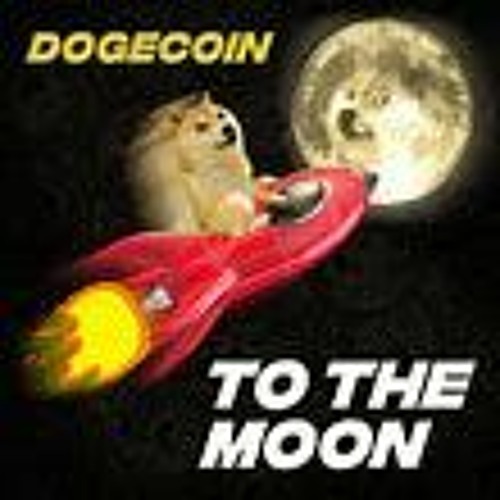 The Dogecoin Song - Xander Wayne | Shazam