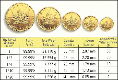 Krugerrand – the oldest and most famous of all gold coins - The Global Citizen