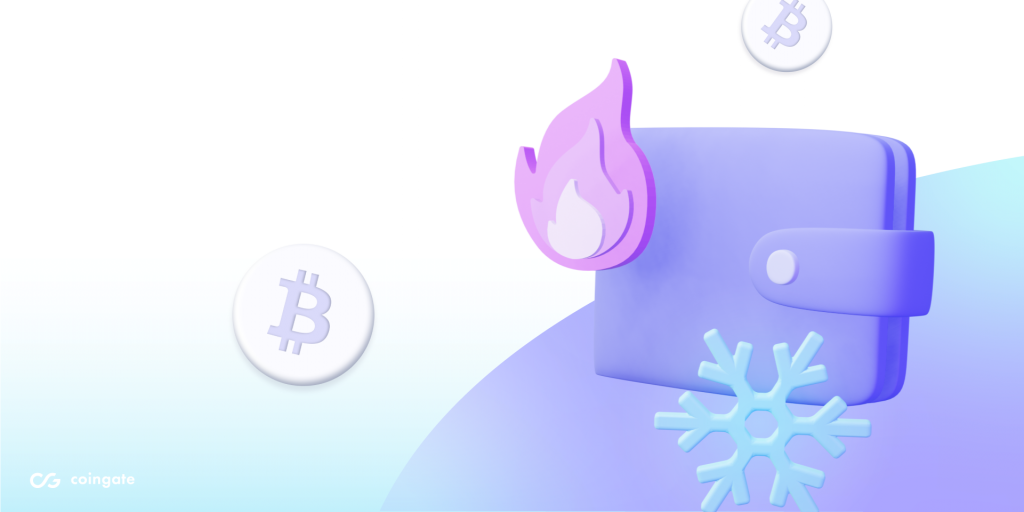 Hot Wallet vs Cold Wallet: Why Cold Storage is Better?