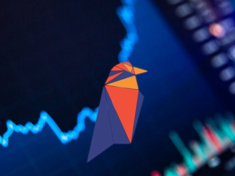 Emerging Crypto Coins - Could Ravencoin Be a Key Player?