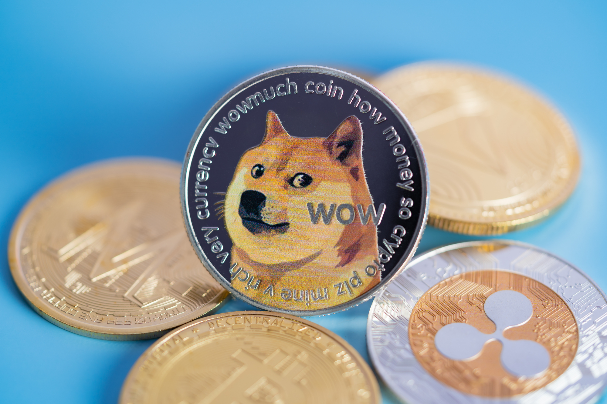 1 USD to DOGE - US Dollars to Dogecoins Exchange Rate
