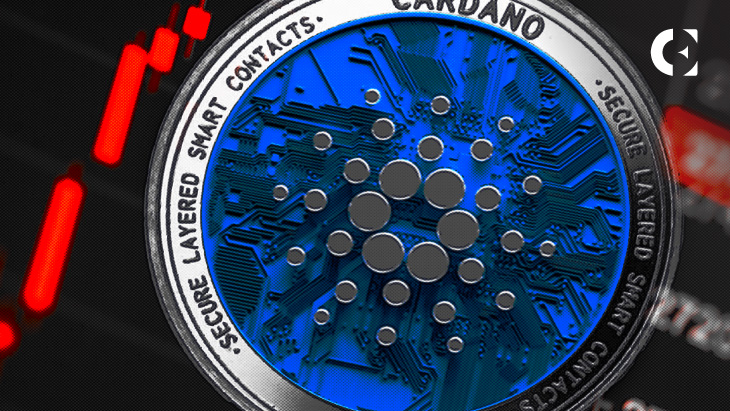 Cardano: What next for ADA as small holders surrender to whales - AMBCrypto