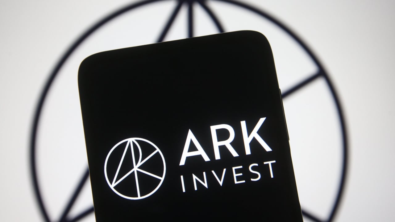 Ark Invest's Cathie Wood Challenges Vanguard's Bitcoin ETF Exclusion Decision - bitcoinhelp.fun
