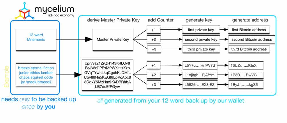 What is a Hierarchical Deterministic Wallet [HD Wallet]?