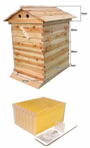 Paradise Honey Beebox Smart System