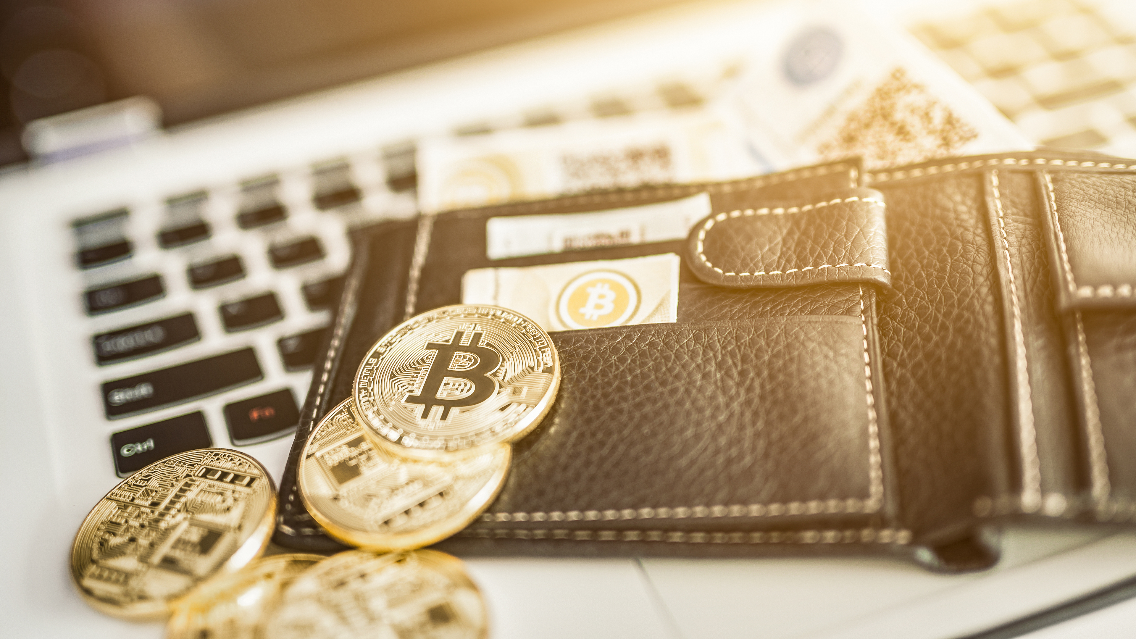 Best Bitcoin and Crypto Wallets for March - CNET Money