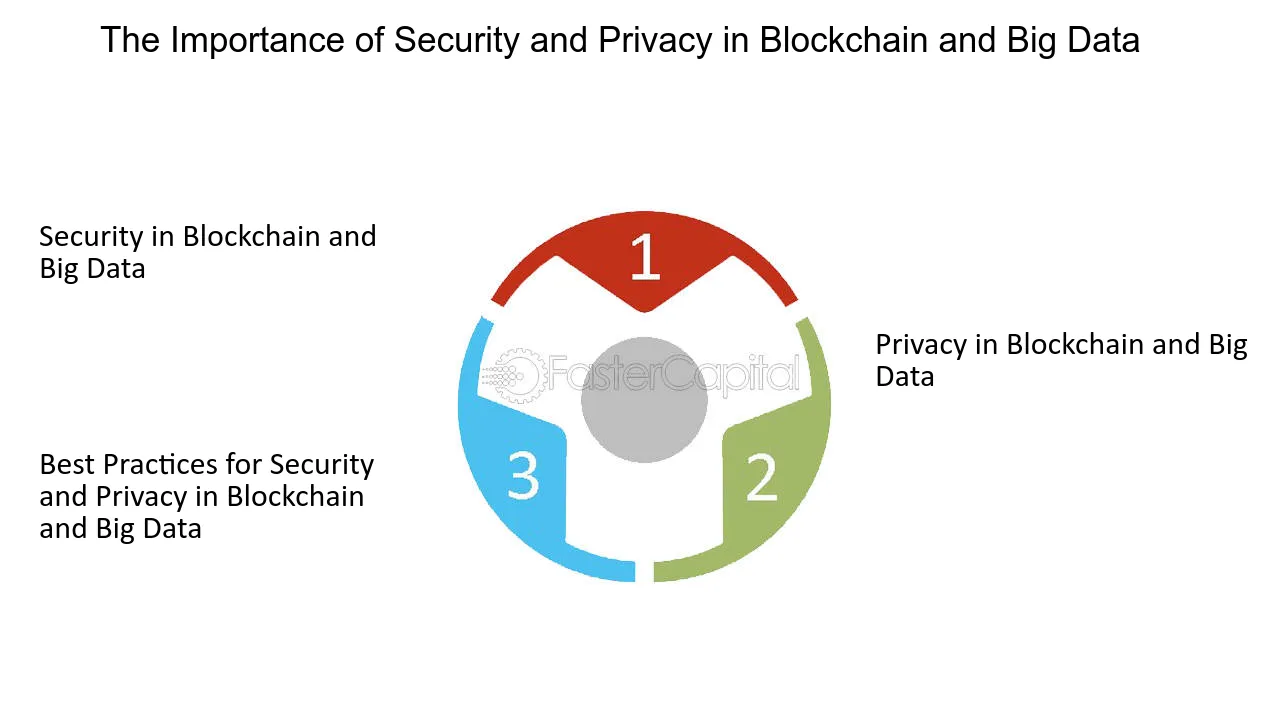 The Utilization of Blockchain for Enhancing Big Data Security and Veracity | SpringerLink