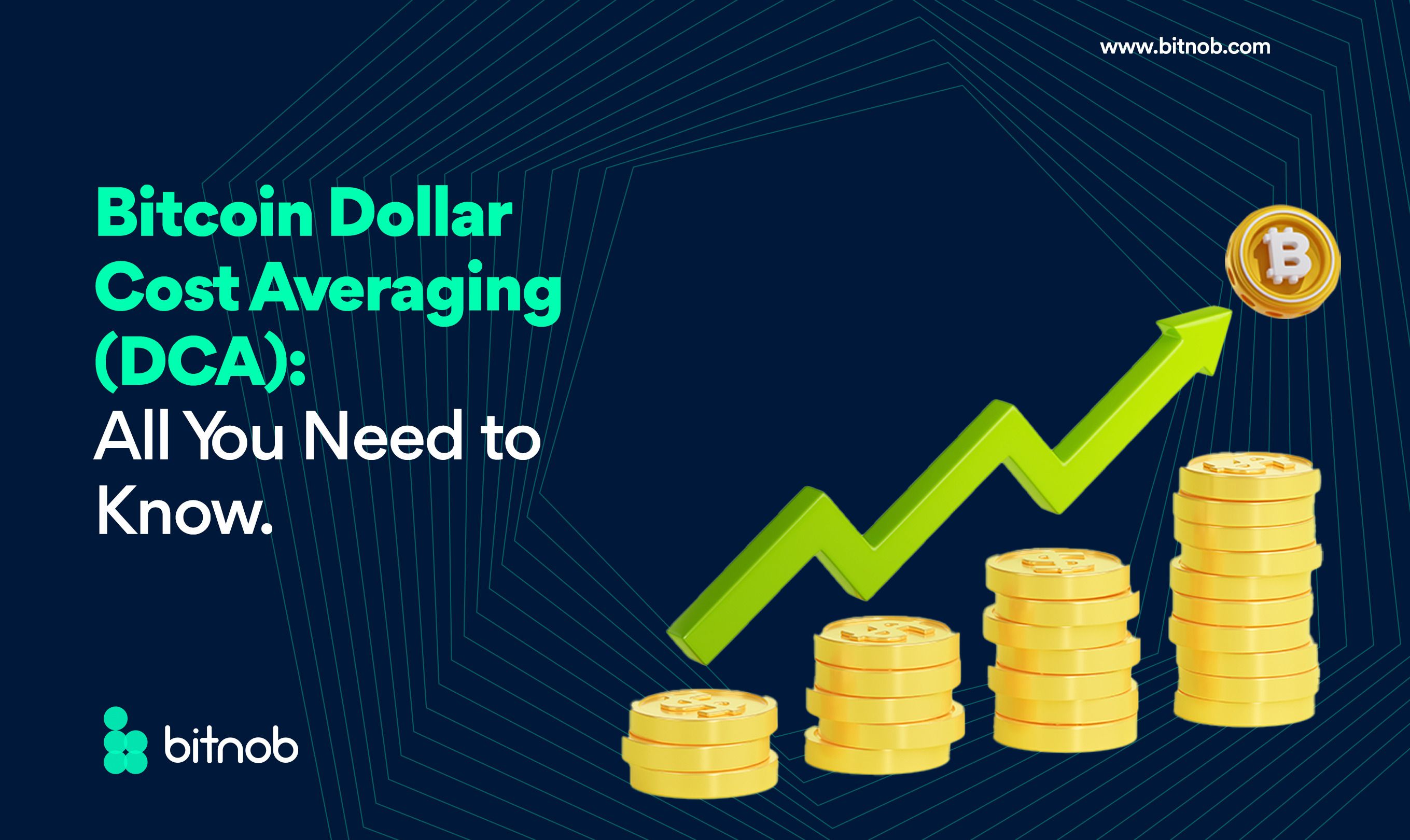What Is Bitcoin Dollar-Cost Averaging? A Beginner’s Guide