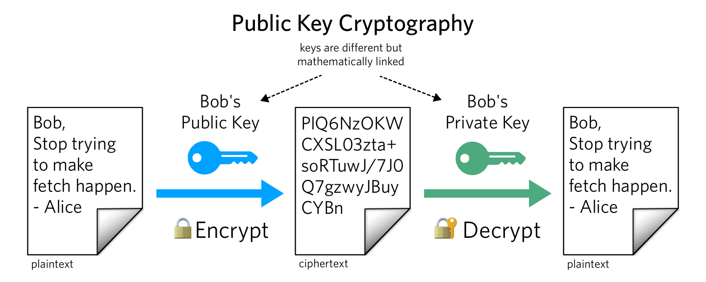 Private Key vs Public Key: What's The Difference? | Bitcoin Depot