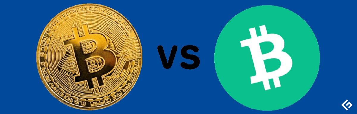 Bovada Review for Is bitcoinhelp.fun Legit and Safe to Use? Read This Before Playing – Firstpost