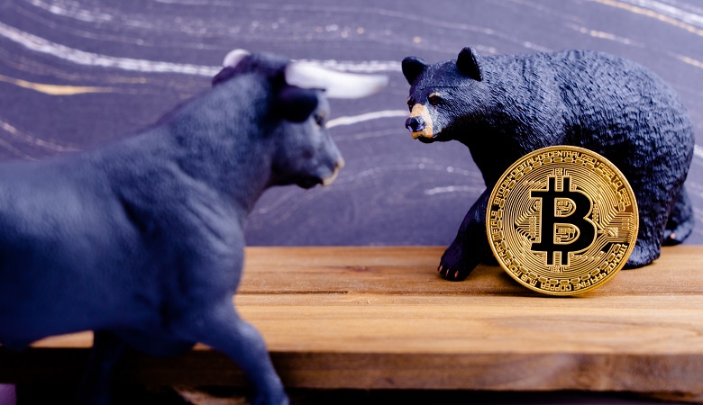 5, Crypto Bears Royalty-Free Photos and Stock Images | Shutterstock