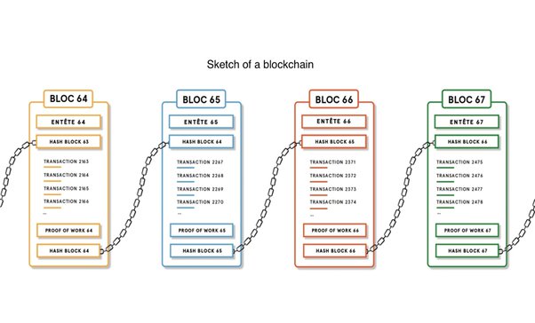 Bitcoin Explorer - bitcoinhelp.fun