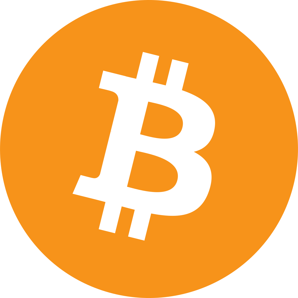 Unicode Character 'BITCOIN SIGN' (U+20BF)