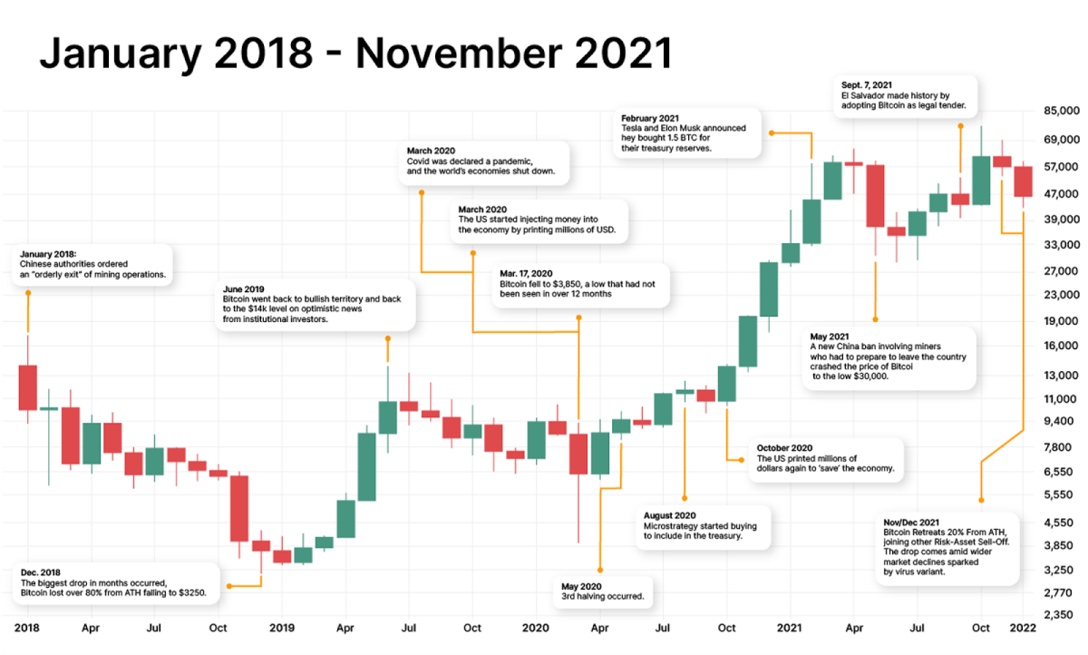 How the Bitcoin price was changing | Explore the BTC price fluctuations guide for the whole history