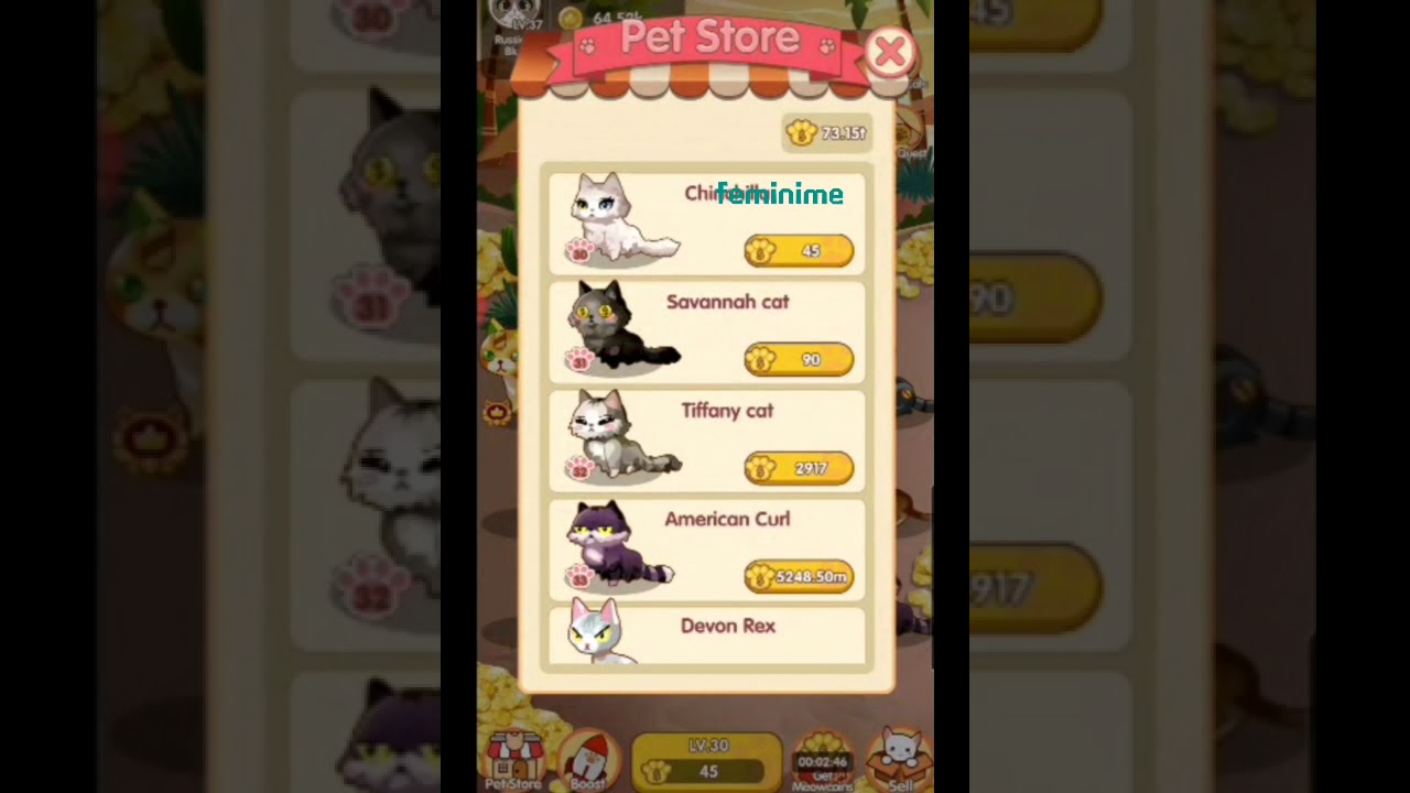 Cat Coin Tr APK Download - Free - 9Apps