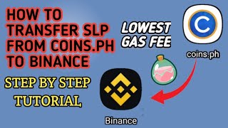 bitcoinhelp.fun Exchange Review - Is it Safe & Legit?