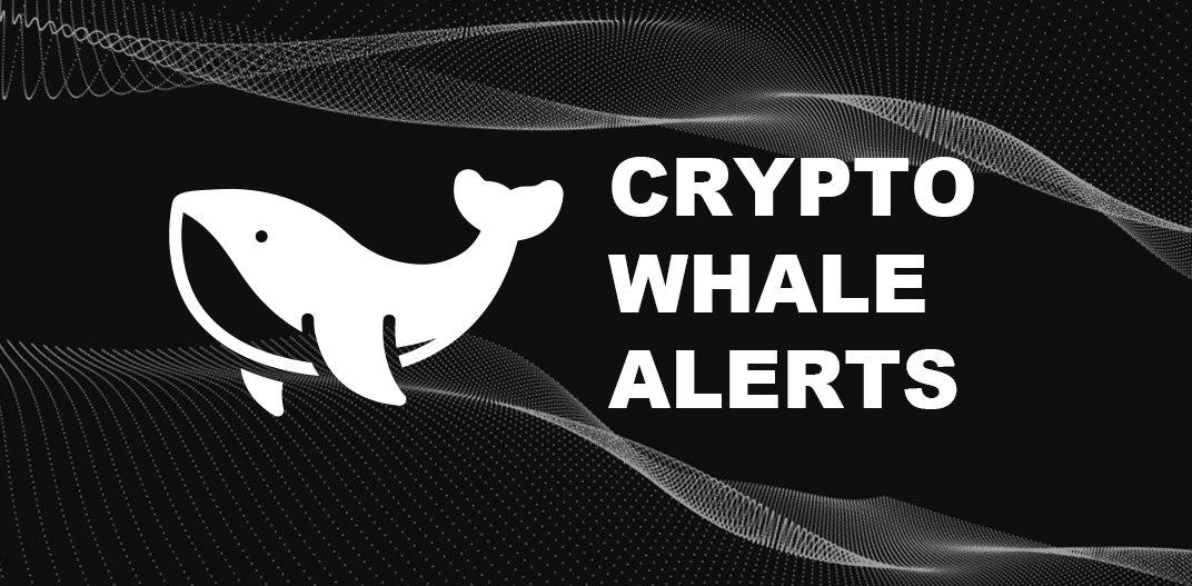 Whale Alert API | Crypto Coin Tracker