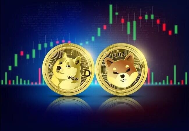 Live Doge to Naira Exchange Rate - DOGE 1 DOGE/NGN Today