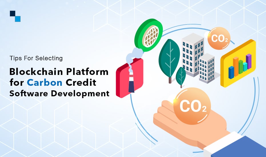 Blockchain for Carbon Credits & Green Tech with Blaize