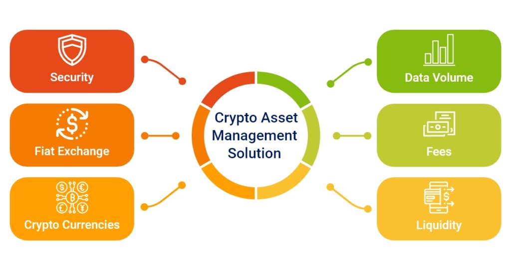 Crypto Asset Management: A Guide for Individual Investors & Financial Professionals