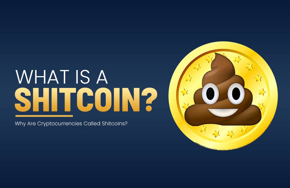 Explained: What are shitcoins