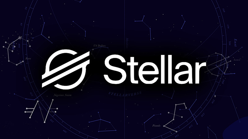 Stellar | A Look Back and A Look Forward: Our Momentum for 