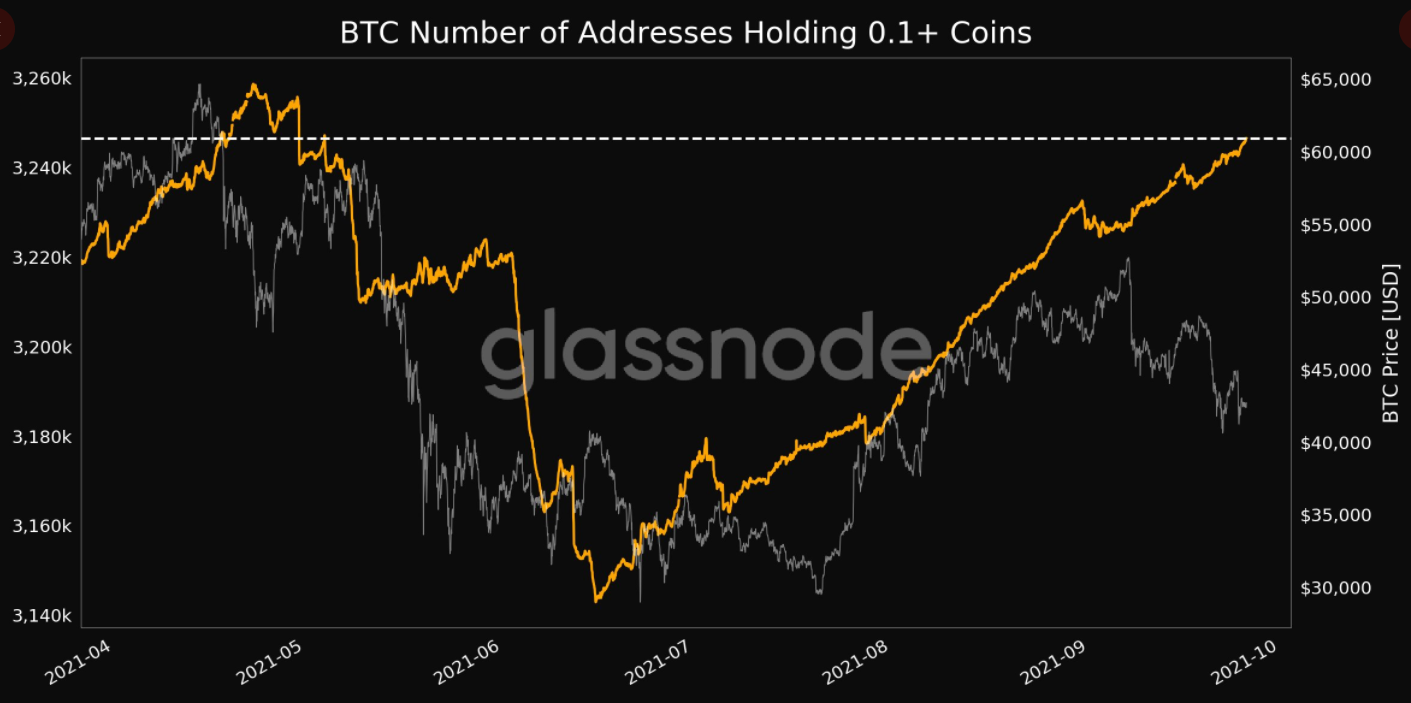 Bitcoin Wallet Addresses Currently Holding More Than BTC Has Hit A New All Time High - Coincu