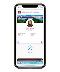 You can add your driver's license or state ID to Apple Wallet in iOS Here's how - CNET