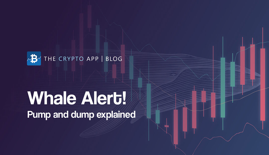 Whale alert! Pump and dumps explained - The Crypto App