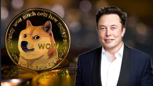Elon Musk Revealed To Be ‘Quietly’ Funding Crypto Rival To Bitcoin Amid Price Crash