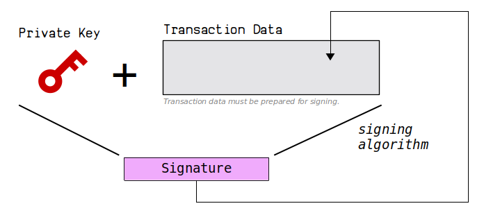 Understanding Bitcoin Transactions | Blockchain Basics | Elliptic