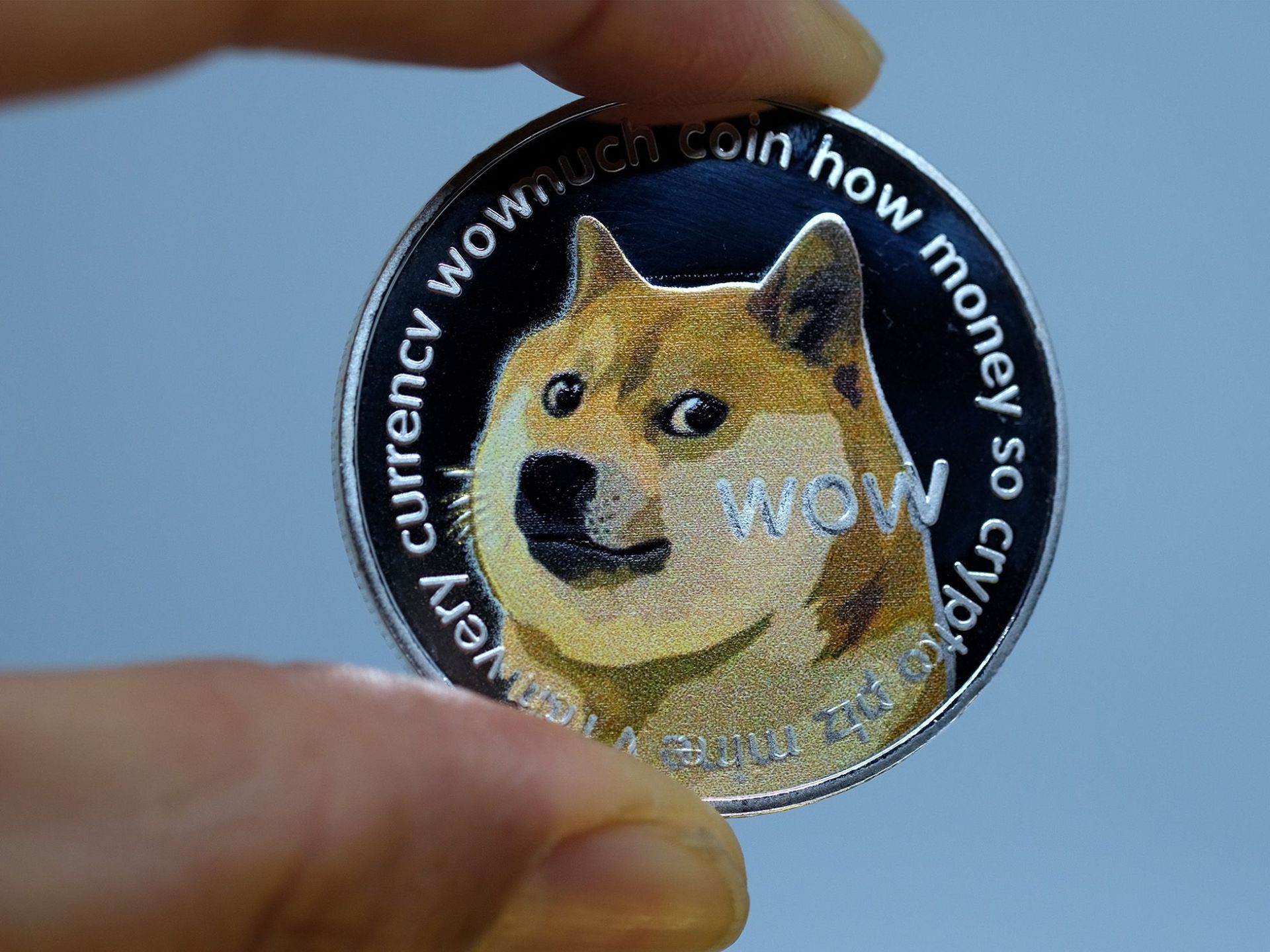 Do you invest in Dogecoin? | Page 2 | bitcoinhelp.fun - BIGGEST MAKE MONEY FORUM ONLINE