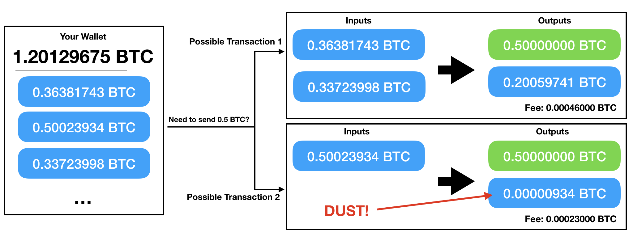 Understanding UTXOs: The Fundamental Building Blocks of Bitcoin