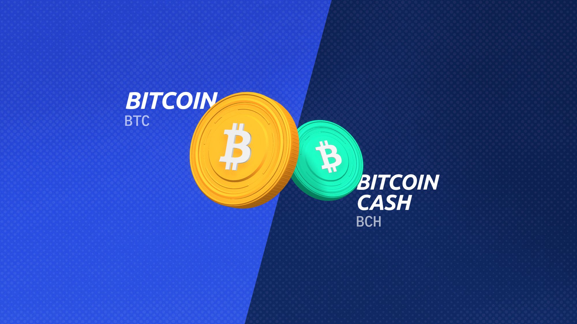 Bitcoin Cash vs Bitcoin: Understanding the Difference Between Them