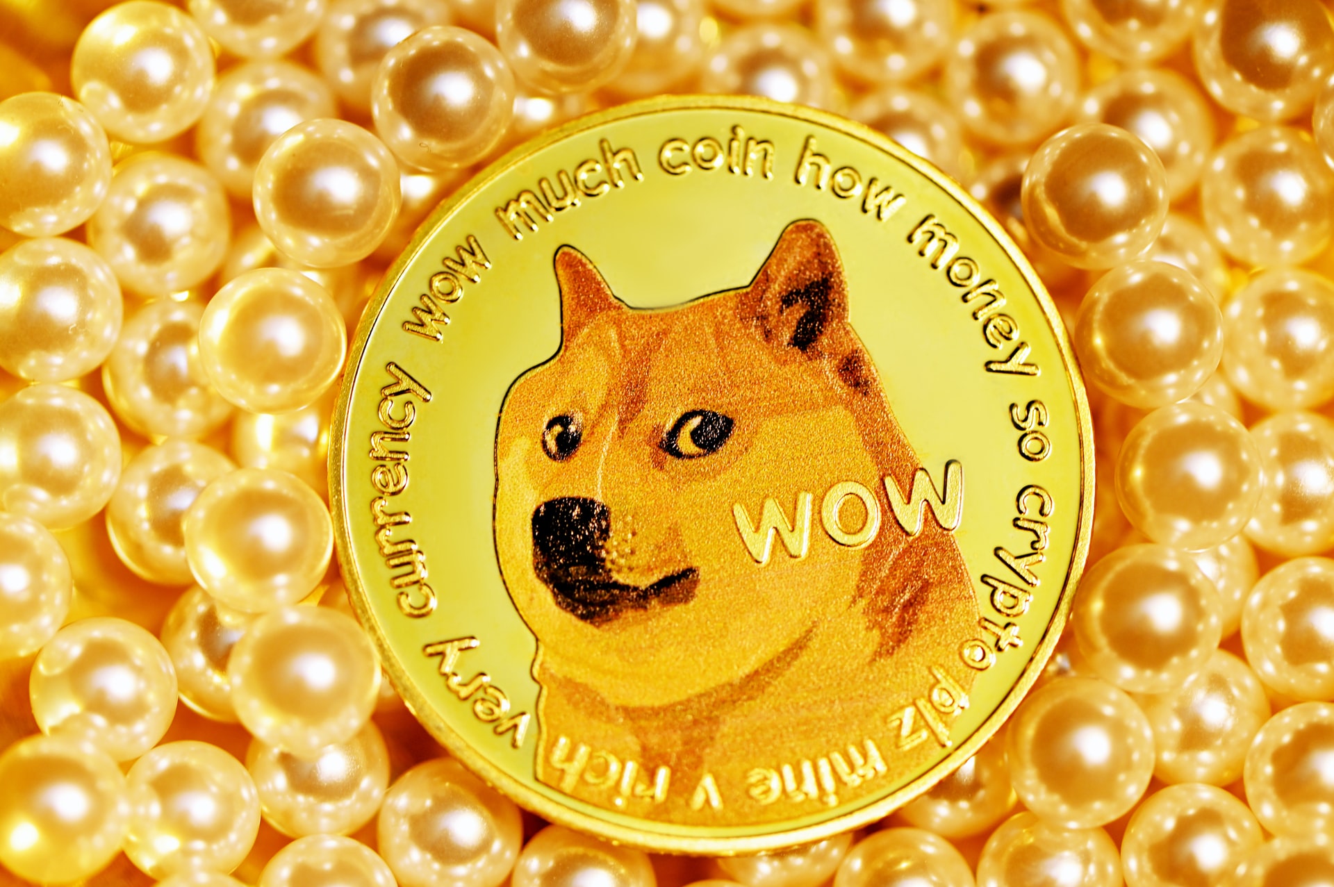Обменять BABYDOGE на DOGE | Конвертировать Baby Doge Coin в Dogecoin на SimpleSwap