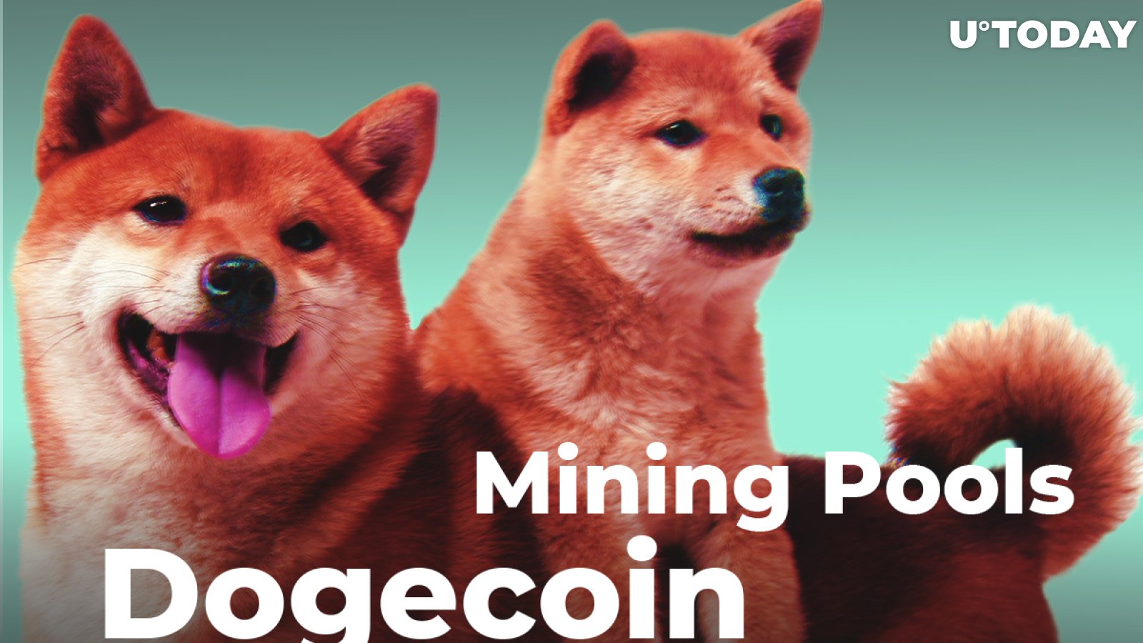 Dogecoin Mining and Best Pool Options