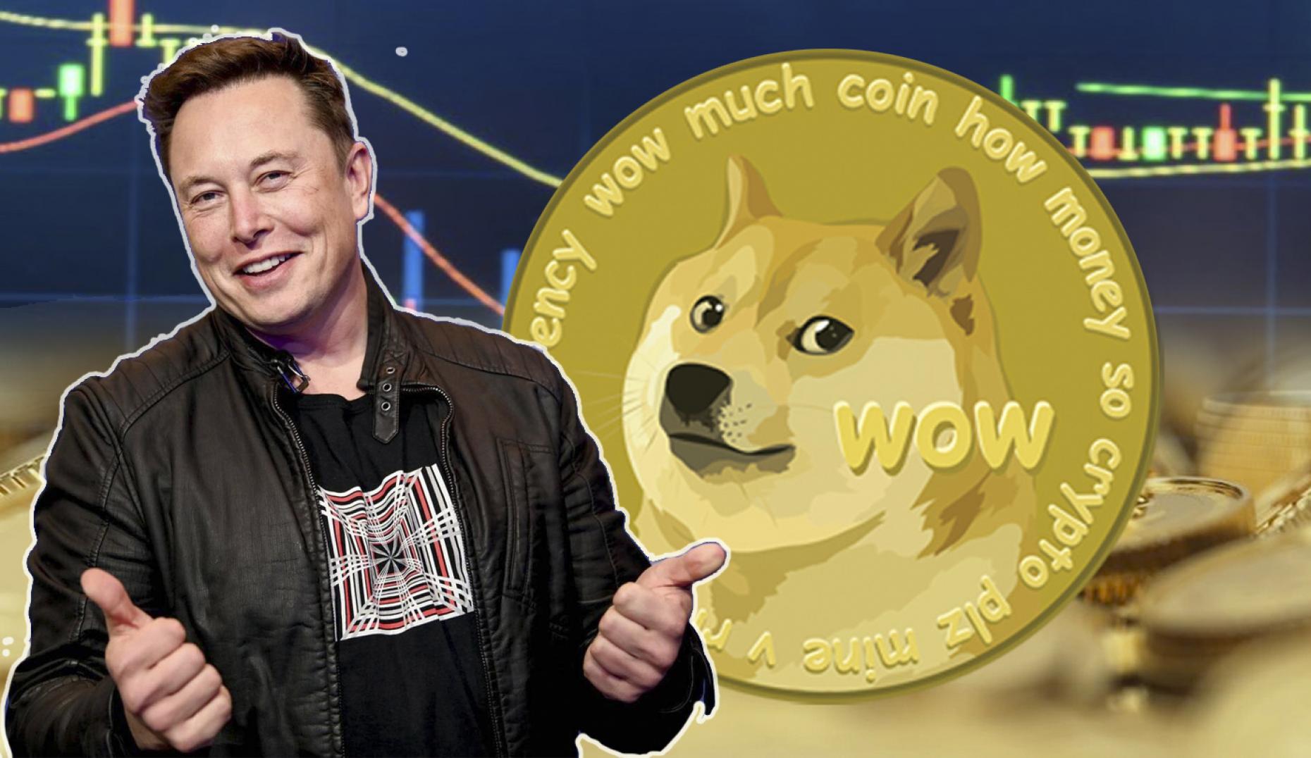 Can Dogecoin Benefit as Elon Musk Confirms Plans to Monetize Creators on Twitter