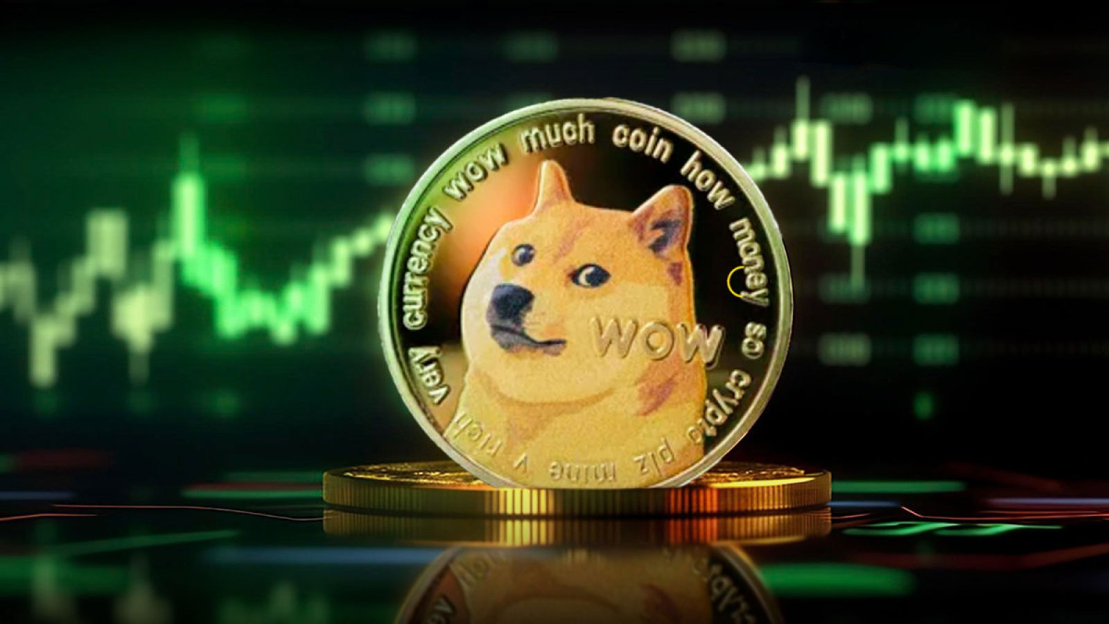 Dogecoin and Shiba Inu Prove That There Can Be Two Top Dogs