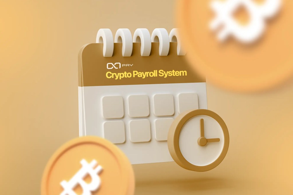 Crypto Payroll: A practical guide to paying your employees in BTC or USDC.