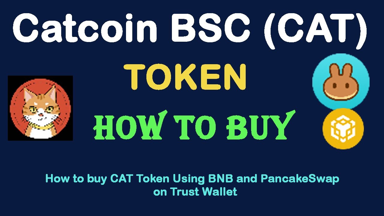 Catcoin BSC (CAT)