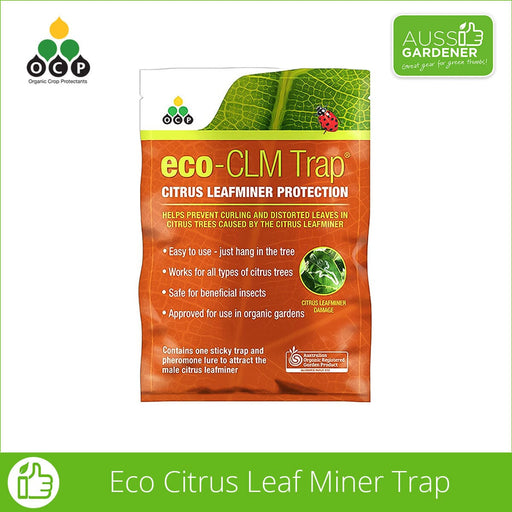 Eco Citrus Leaf Miner Trap