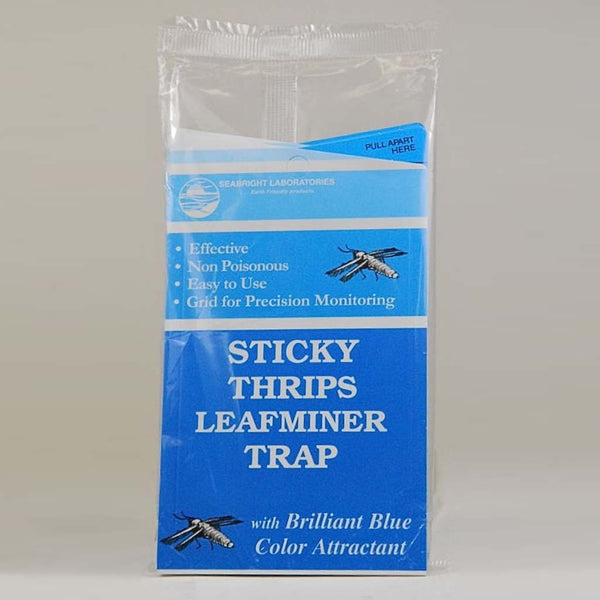 OCP eco Citrus Leaf Miner Trap — Aussie Gardener