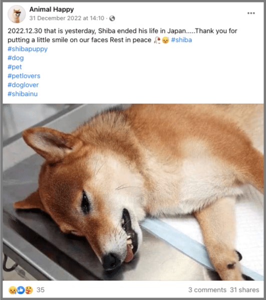 Cheems, the Shiba Inu dog who inspired several viral memes, dies at 12