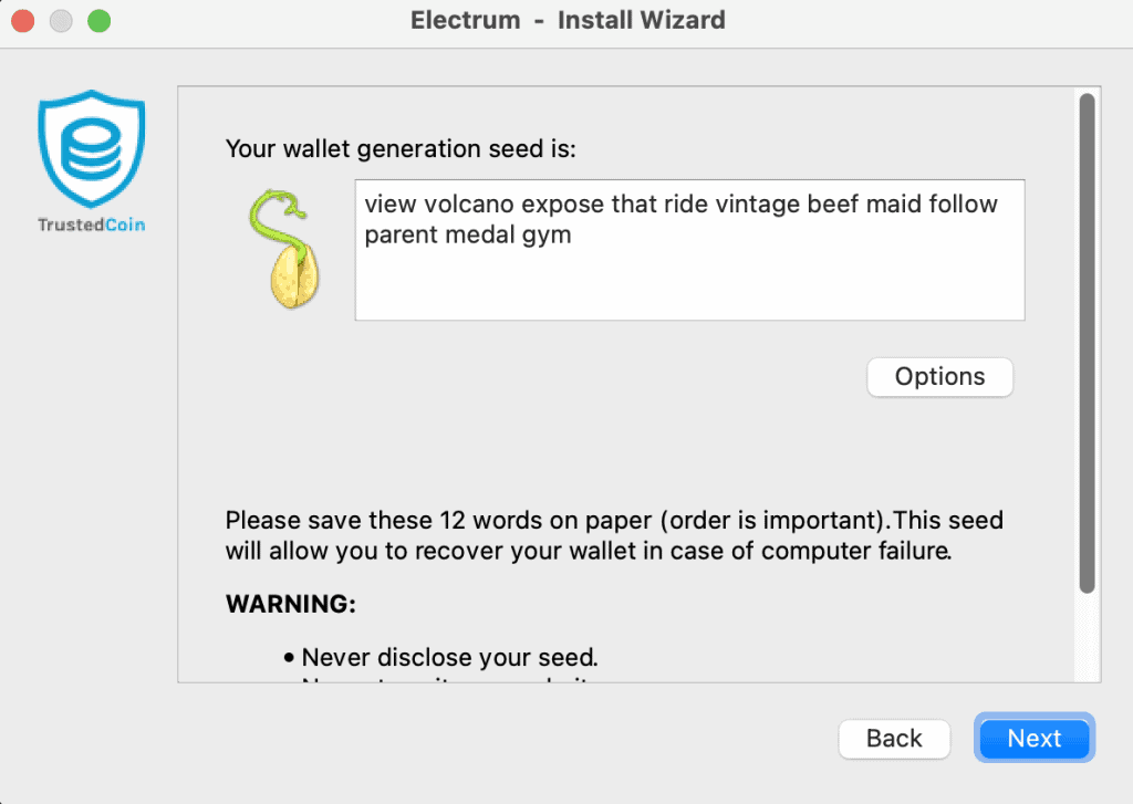 Restore electrum wallet from seed - What to do if you lose seed?