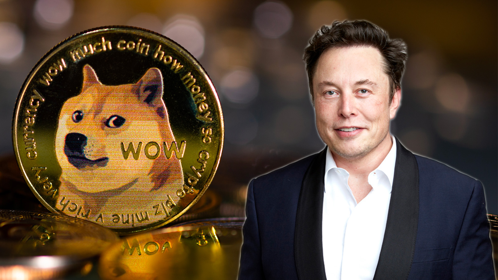 Elon Musk discloses that Tesla owns Dogecoin but how much?