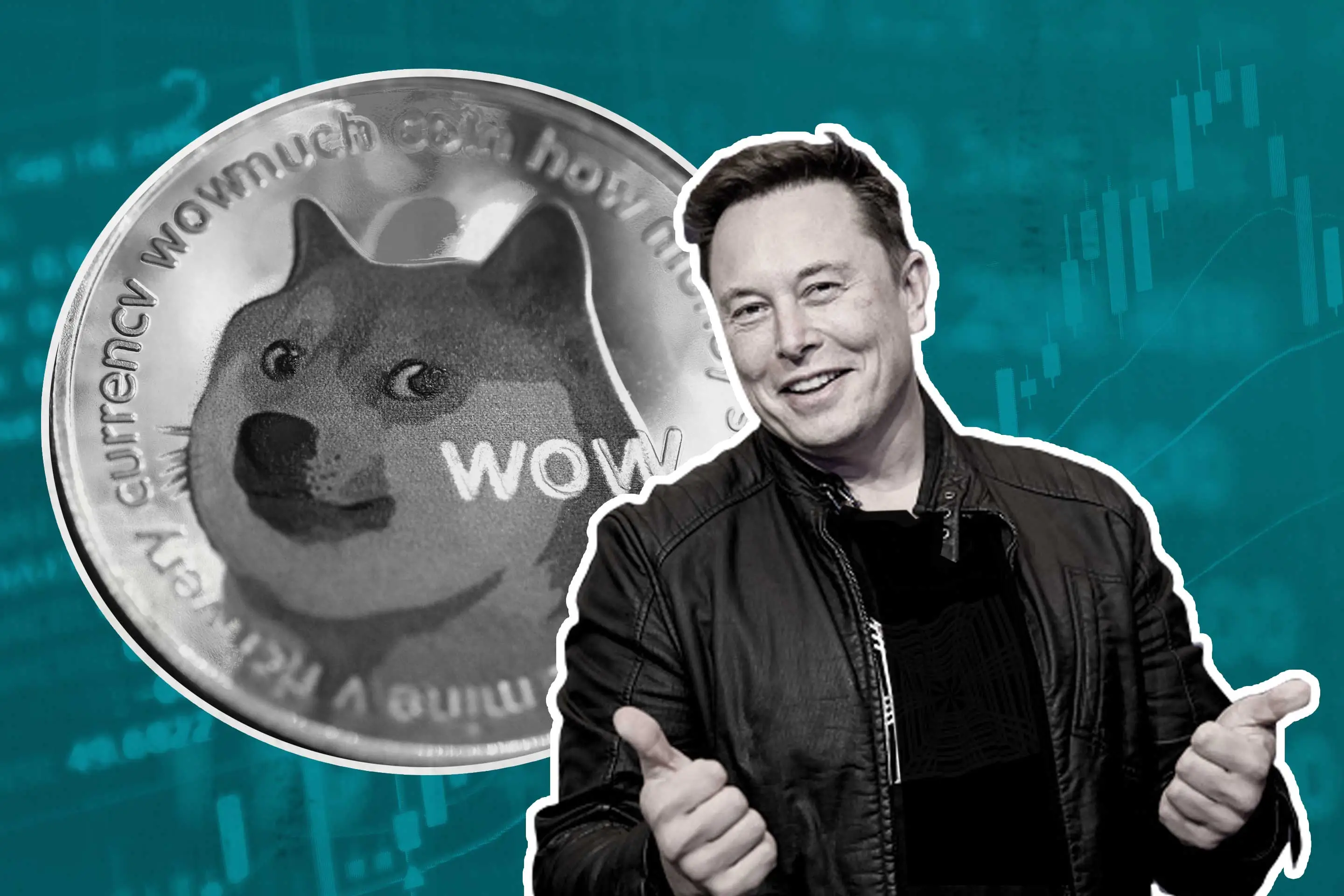 elon musk: Elon Musk says never suggested people should invest in Dogecoin - The Economic Times