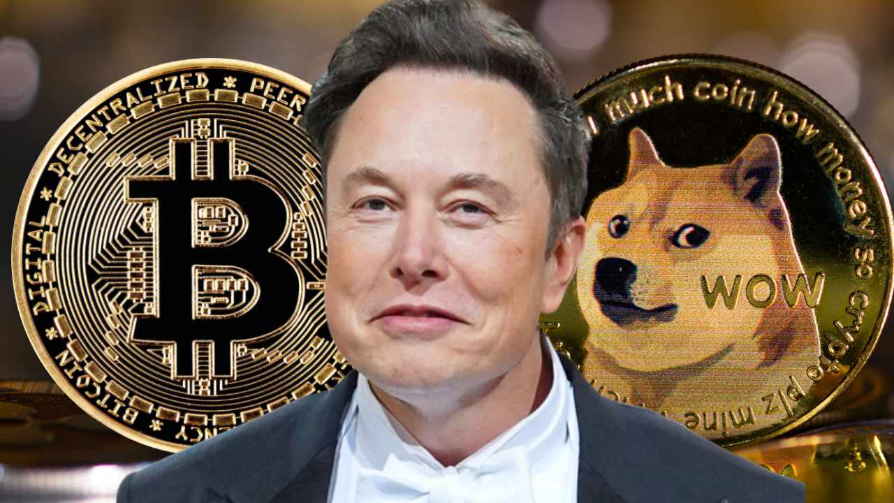 Elon Musk seeks to end $ billion Dogecoin lawsuit | Reuters