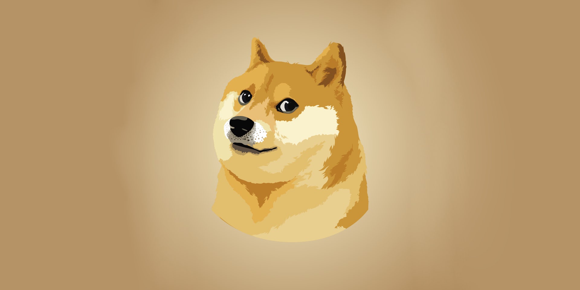 About Doge | Doge
