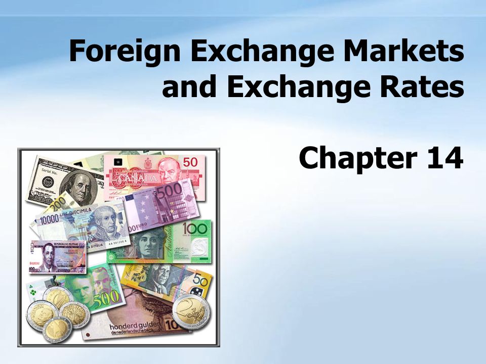 Different Functions and Kinds of Foreign Exchange Market - Class 12