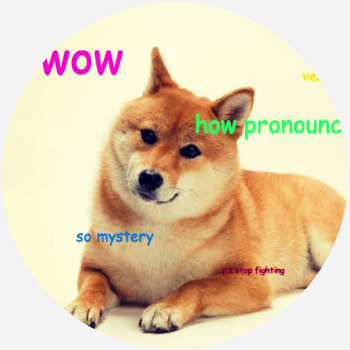 About Doge | Doge